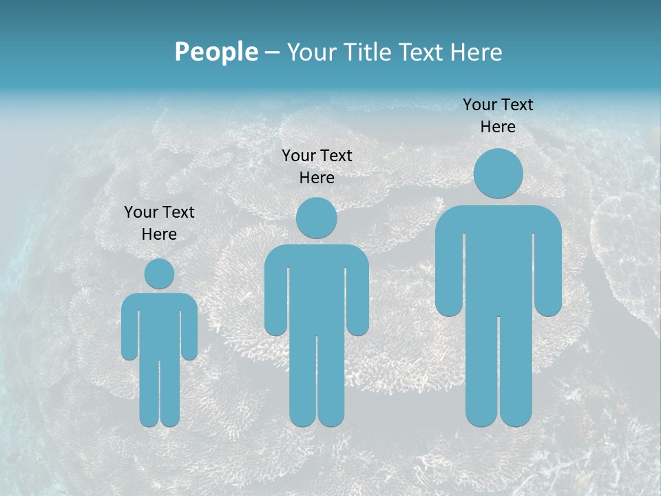 A Large Group Of Corals In The Ocean PowerPoint Template