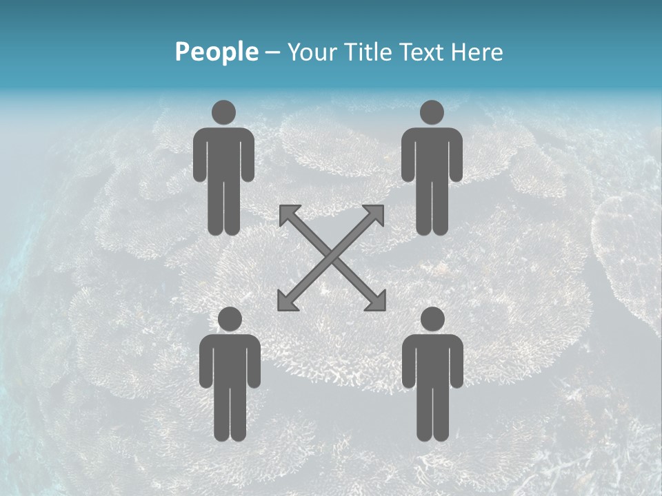 A Large Group Of Corals In The Ocean PowerPoint Template