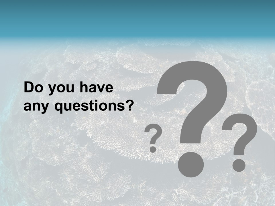 A Large Group Of Corals In The Ocean PowerPoint Template