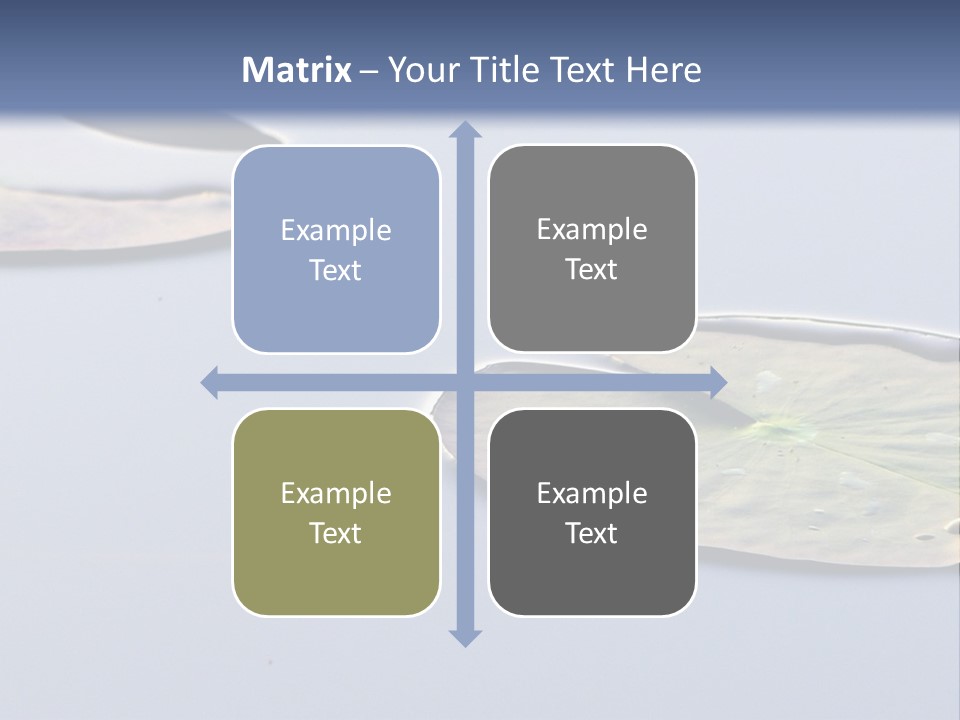 Two Water Lilies Floating On Top Of A Lake PowerPoint Template