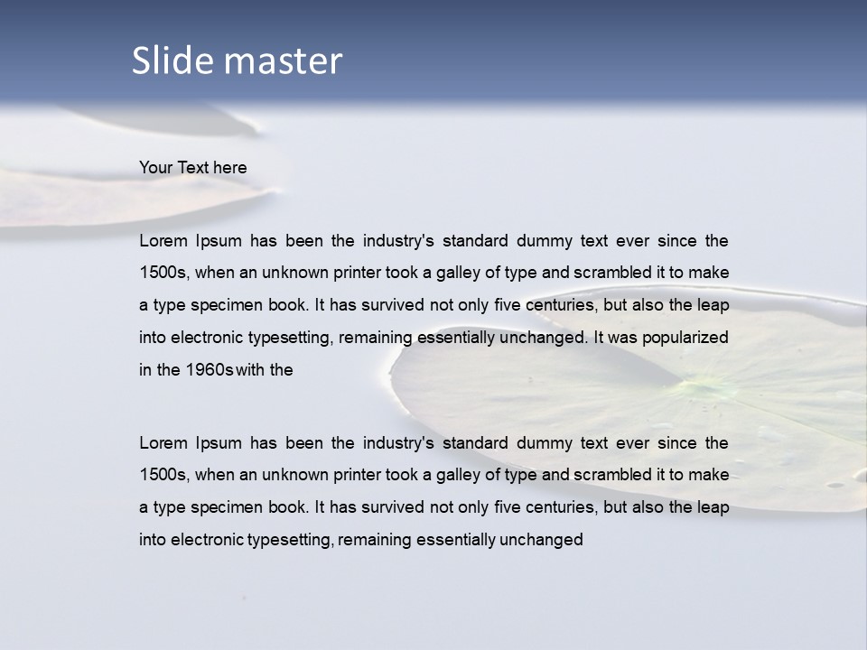 Two Water Lilies Floating On Top Of A Lake PowerPoint Template