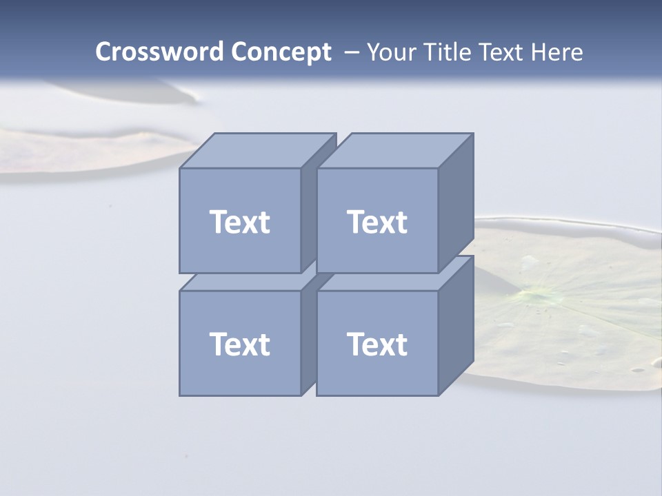 Two Water Lilies Floating On Top Of A Lake PowerPoint Template
