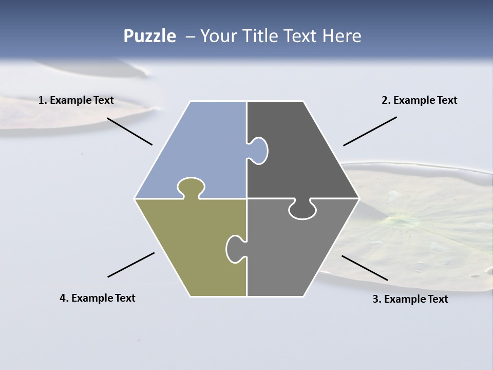 Two Water Lilies Floating On Top Of A Lake PowerPoint Template