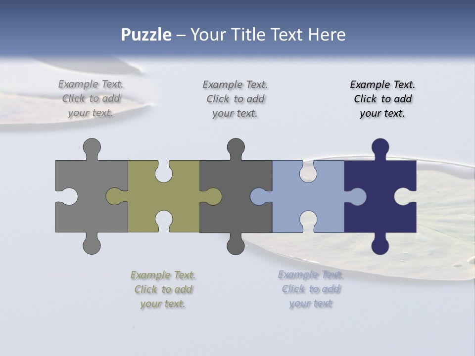 Two Water Lilies Floating On Top Of A Lake PowerPoint Template