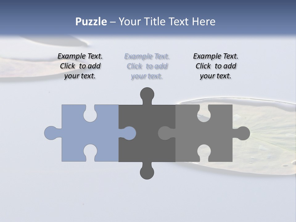 Two Water Lilies Floating On Top Of A Lake PowerPoint Template