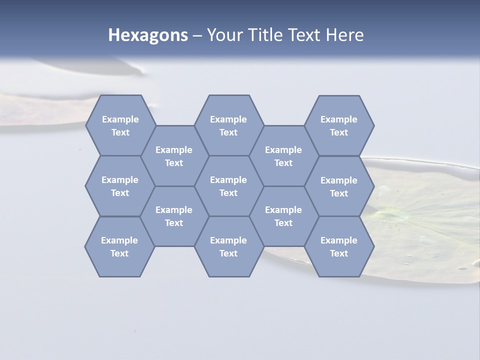 Two Water Lilies Floating On Top Of A Lake PowerPoint Template