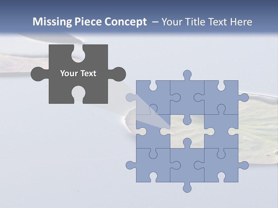 Two Water Lilies Floating On Top Of A Lake PowerPoint Template