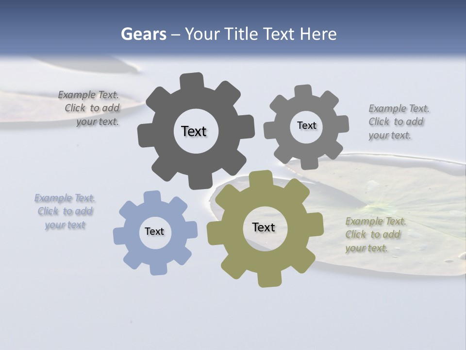 Two Water Lilies Floating On Top Of A Lake PowerPoint Template