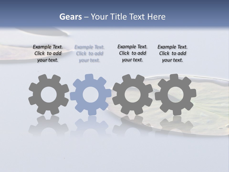 Two Water Lilies Floating On Top Of A Lake PowerPoint Template