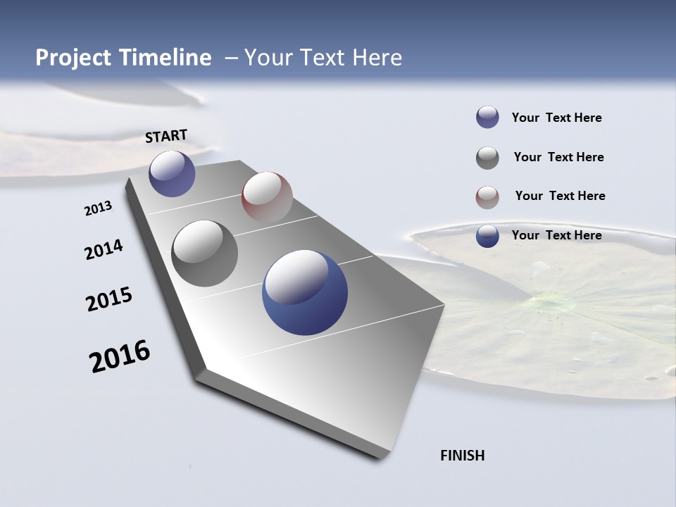 Two Water Lilies Floating On Top Of A Lake PowerPoint Template