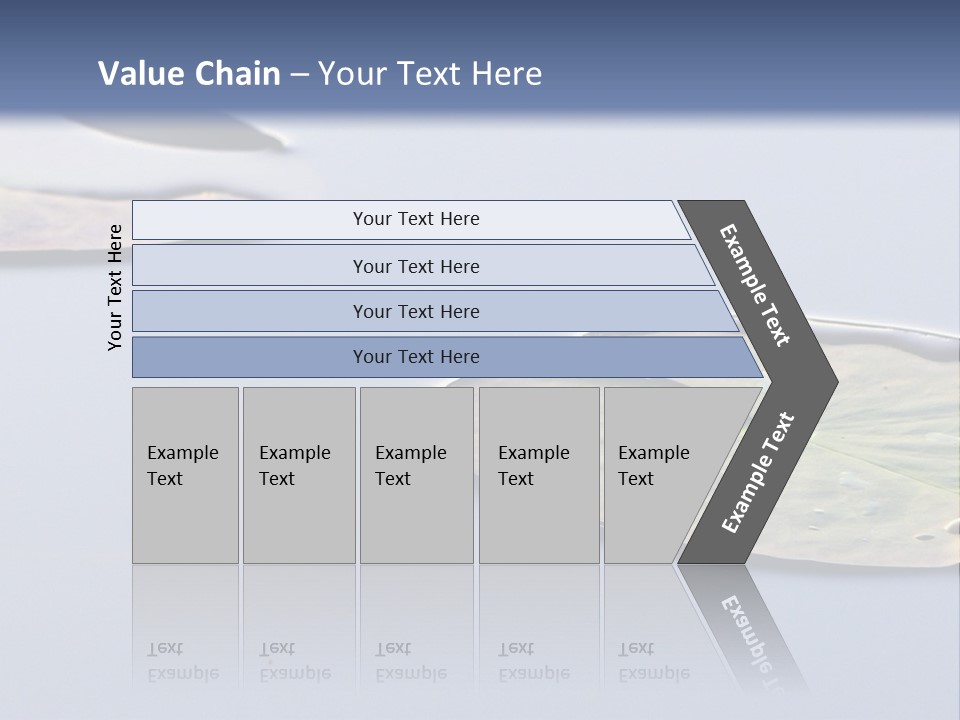 Two Water Lilies Floating On Top Of A Lake PowerPoint Template