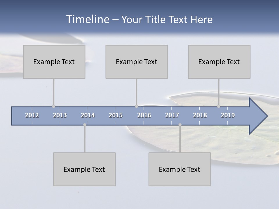 Two Water Lilies Floating On Top Of A Lake PowerPoint Template