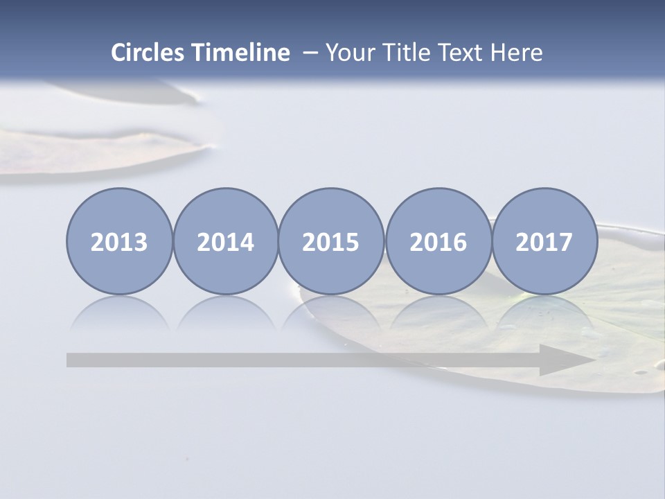 Two Water Lilies Floating On Top Of A Lake PowerPoint Template