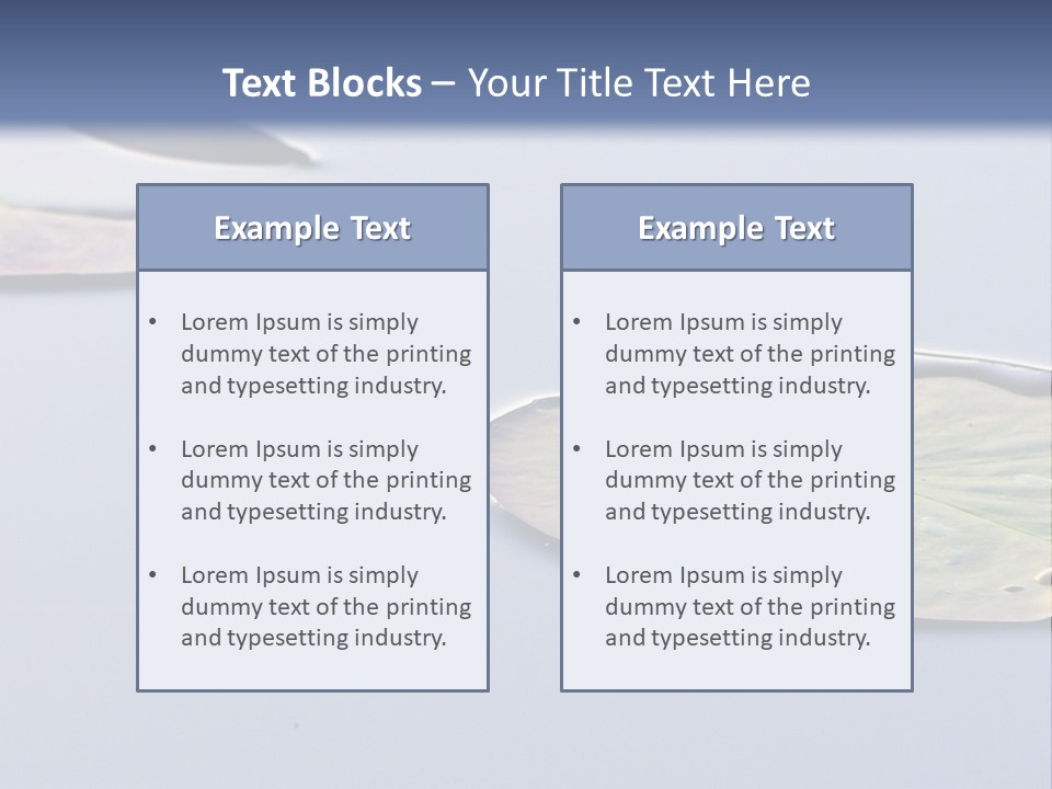 Two Water Lilies Floating On Top Of A Lake PowerPoint Template