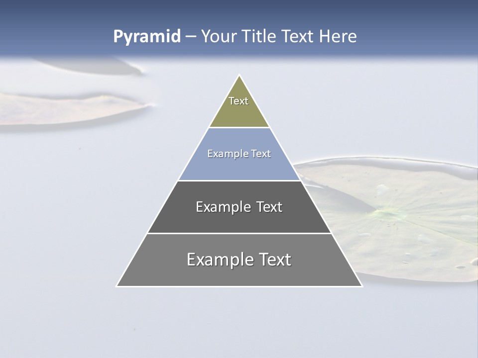 Two Water Lilies Floating On Top Of A Lake PowerPoint Template