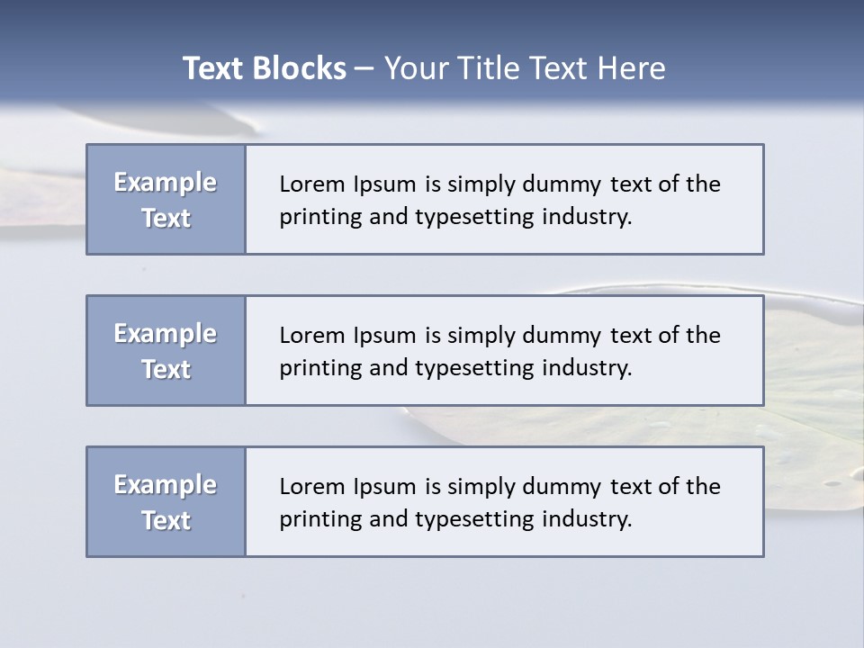 Two Water Lilies Floating On Top Of A Lake PowerPoint Template