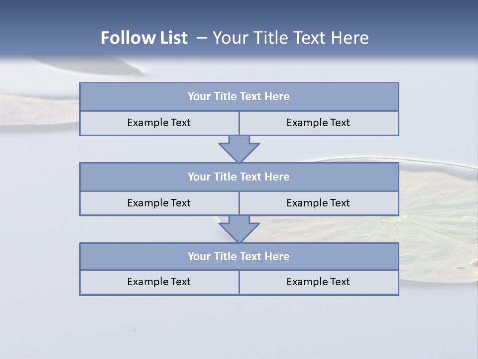 Two Water Lilies Floating On Top Of A Lake PowerPoint Template