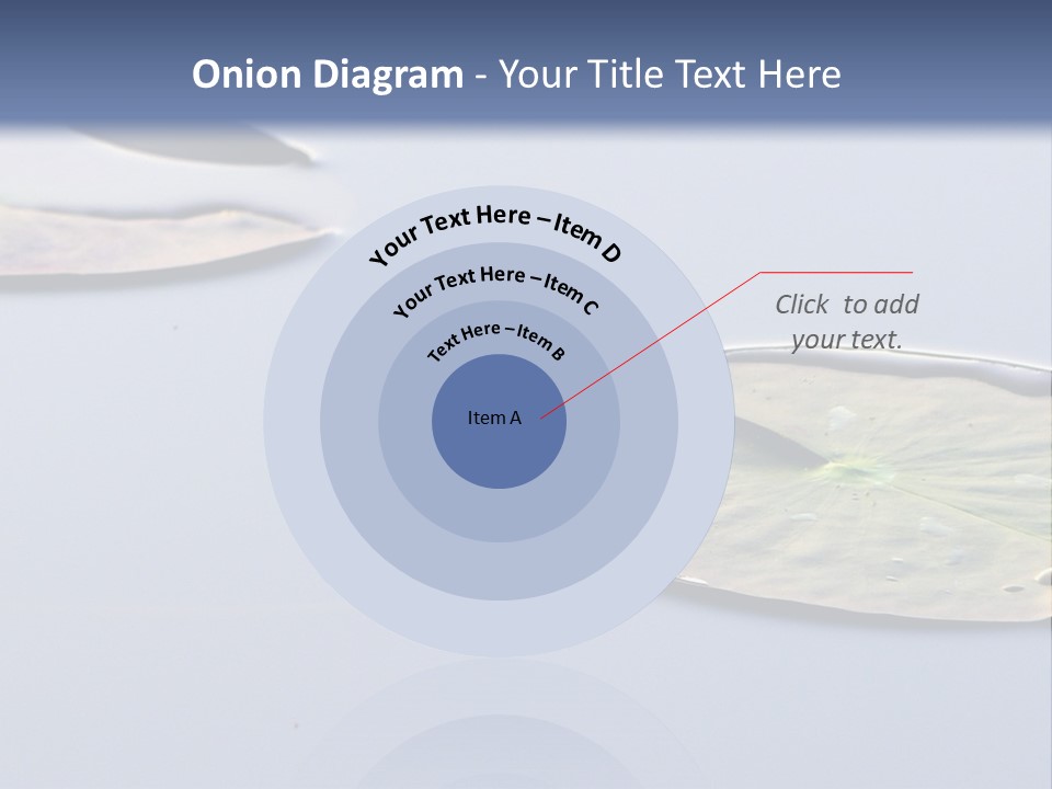 Two Water Lilies Floating On Top Of A Lake PowerPoint Template