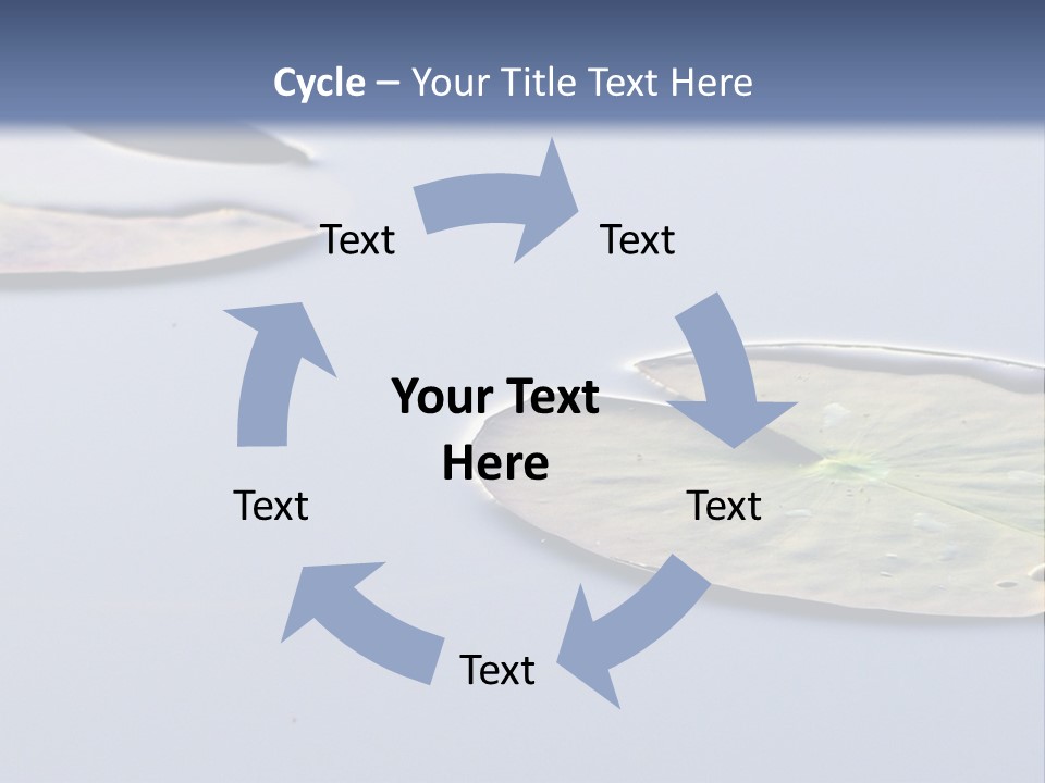 Two Water Lilies Floating On Top Of A Lake PowerPoint Template