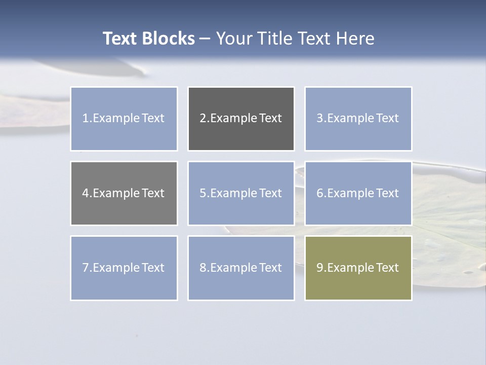 Two Water Lilies Floating On Top Of A Lake PowerPoint Template