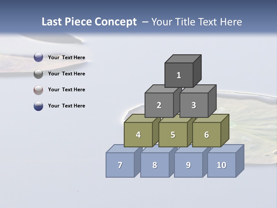 Two Water Lilies Floating On Top Of A Lake PowerPoint Template