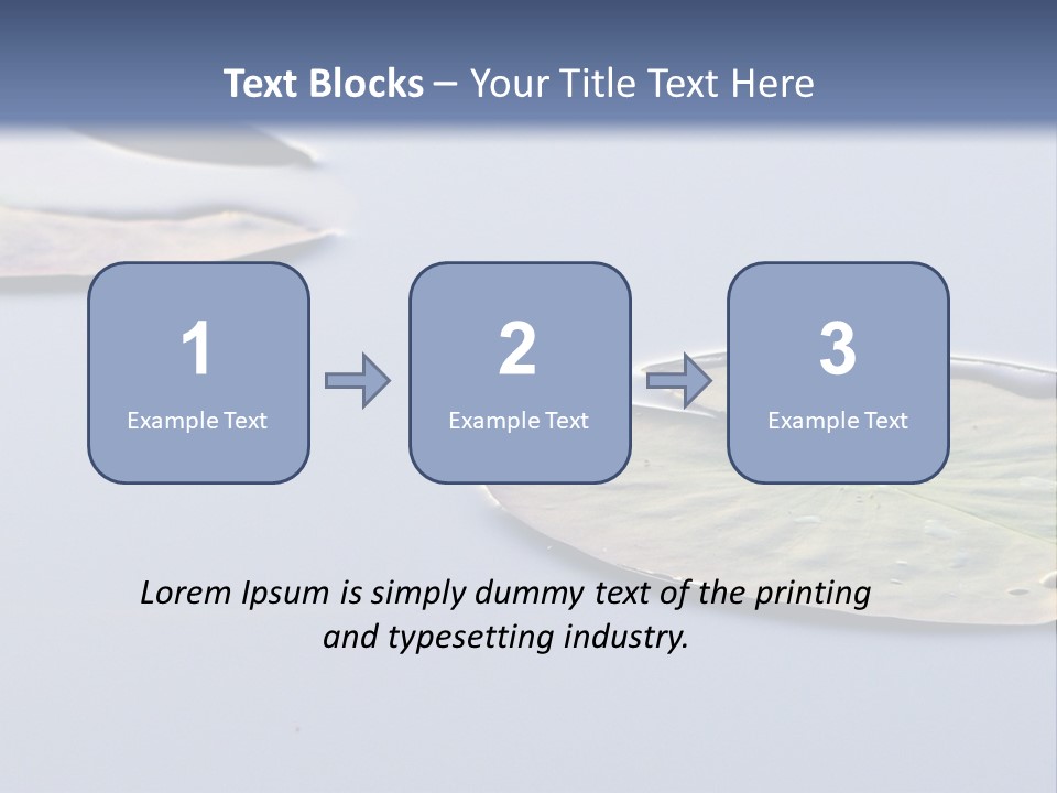 Two Water Lilies Floating On Top Of A Lake PowerPoint Template
