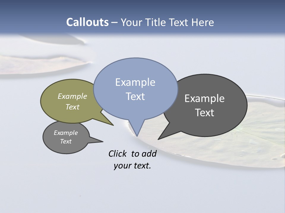 Two Water Lilies Floating On Top Of A Lake PowerPoint Template