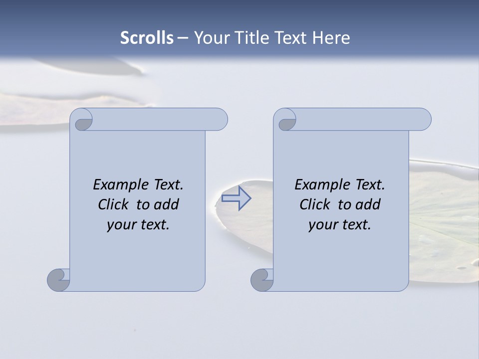 Two Water Lilies Floating On Top Of A Lake PowerPoint Template