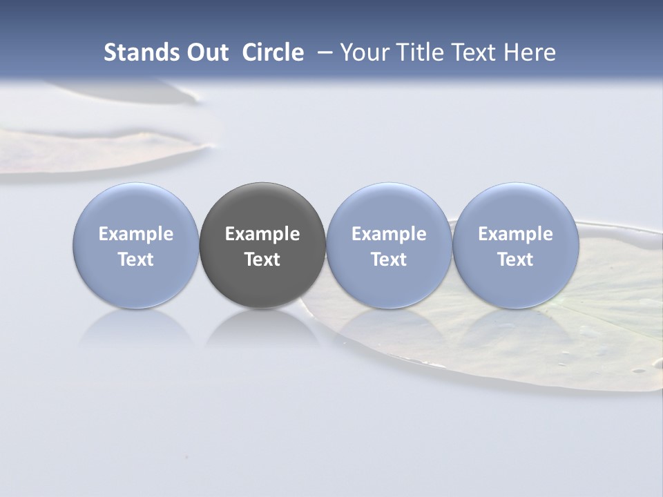 Two Water Lilies Floating On Top Of A Lake PowerPoint Template