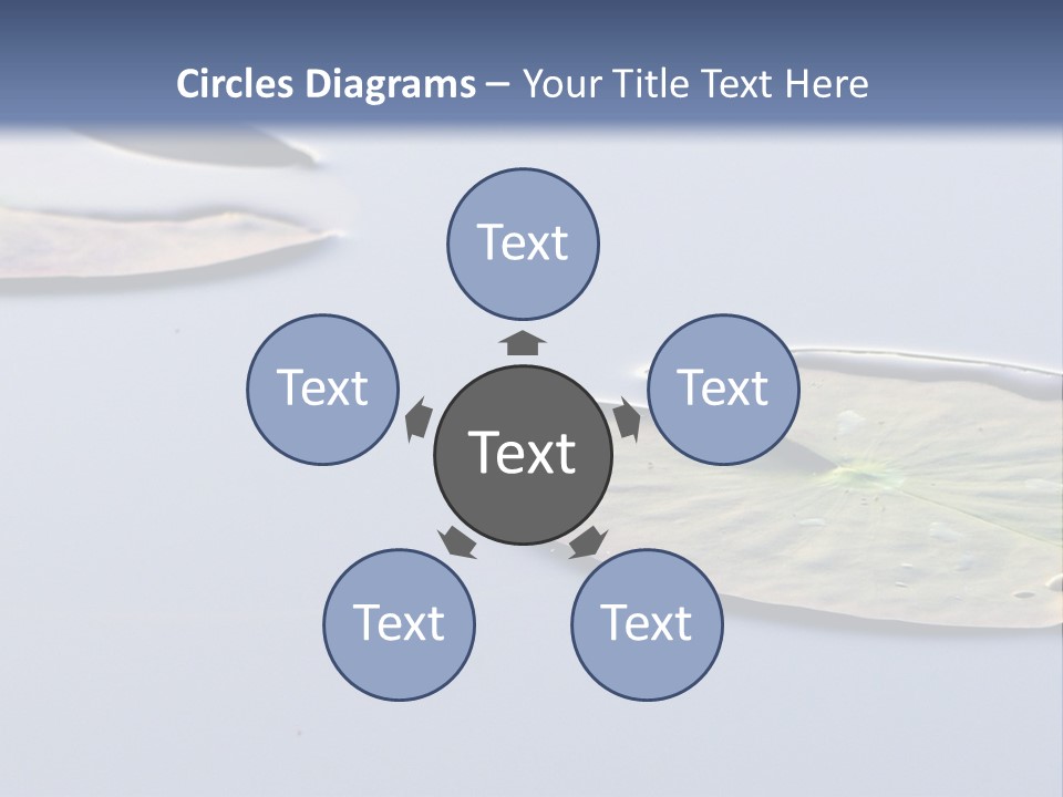 Two Water Lilies Floating On Top Of A Lake PowerPoint Template