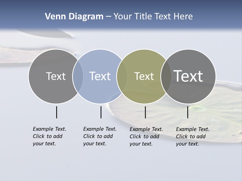 Two Water Lilies Floating On Top Of A Lake PowerPoint Template