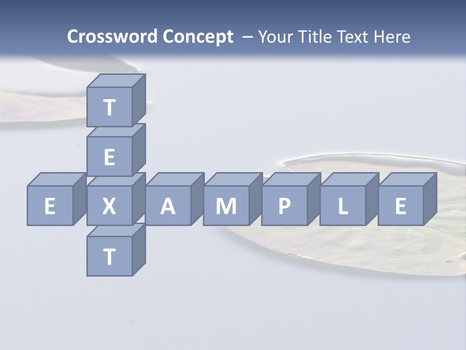 Two Water Lilies Floating On Top Of A Lake PowerPoint Template