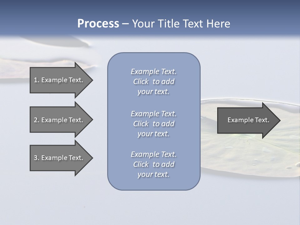 Two Water Lilies Floating On Top Of A Lake PowerPoint Template