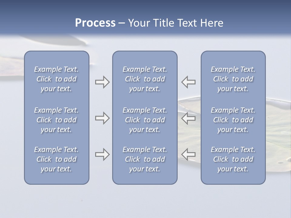 Two Water Lilies Floating On Top Of A Lake PowerPoint Template