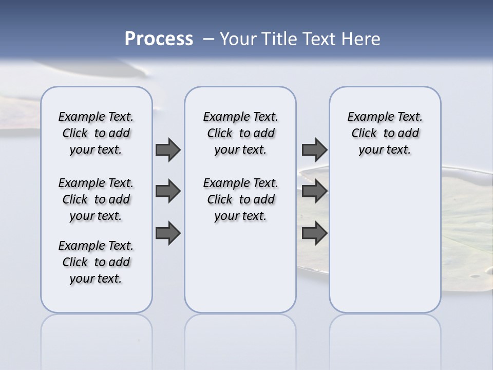 Two Water Lilies Floating On Top Of A Lake PowerPoint Template