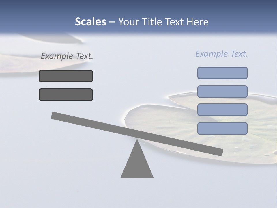 Two Water Lilies Floating On Top Of A Lake PowerPoint Template