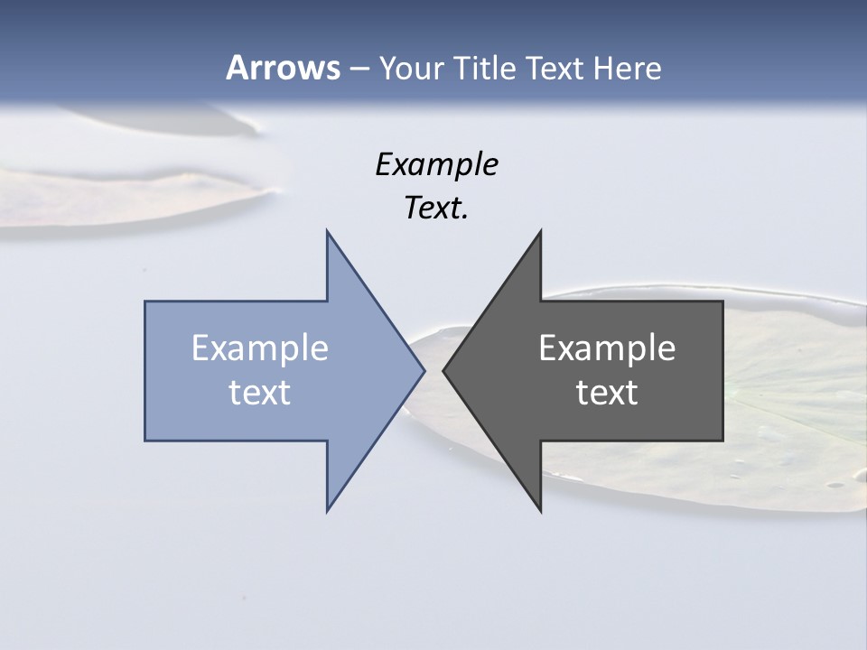 Two Water Lilies Floating On Top Of A Lake PowerPoint Template