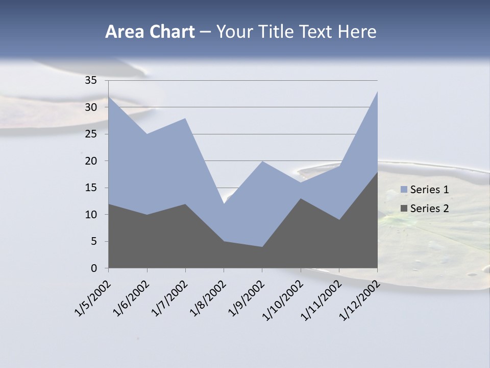 Two Water Lilies Floating On Top Of A Lake PowerPoint Template
