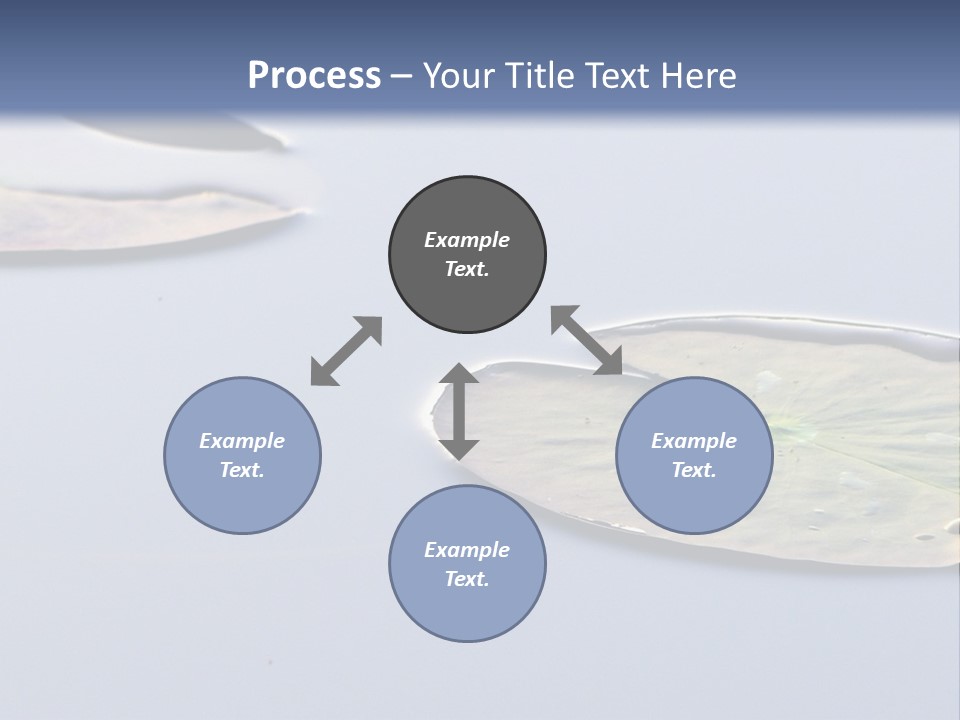Two Water Lilies Floating On Top Of A Lake PowerPoint Template