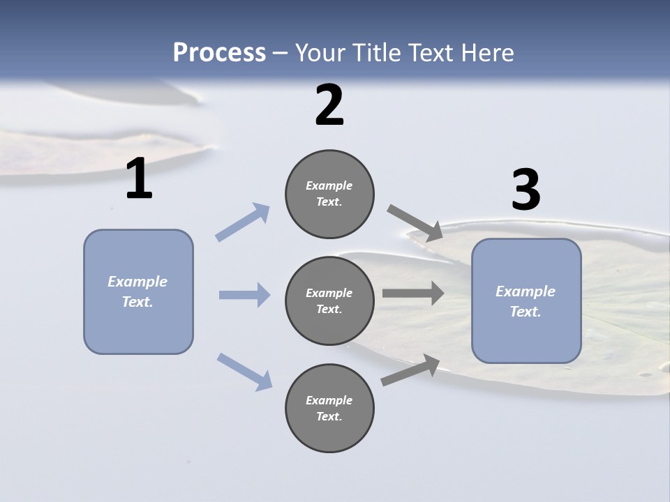 Two Water Lilies Floating On Top Of A Lake PowerPoint Template