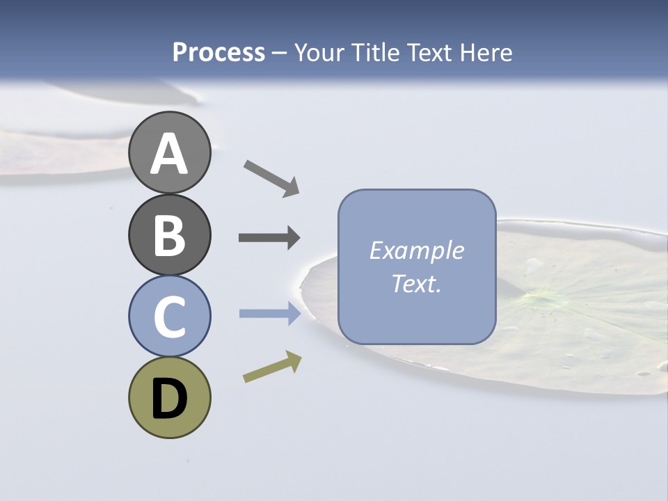 Two Water Lilies Floating On Top Of A Lake PowerPoint Template