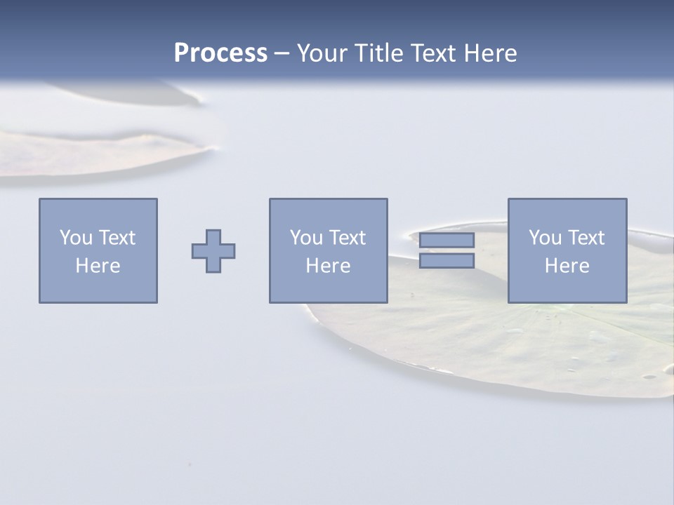 Two Water Lilies Floating On Top Of A Lake PowerPoint Template