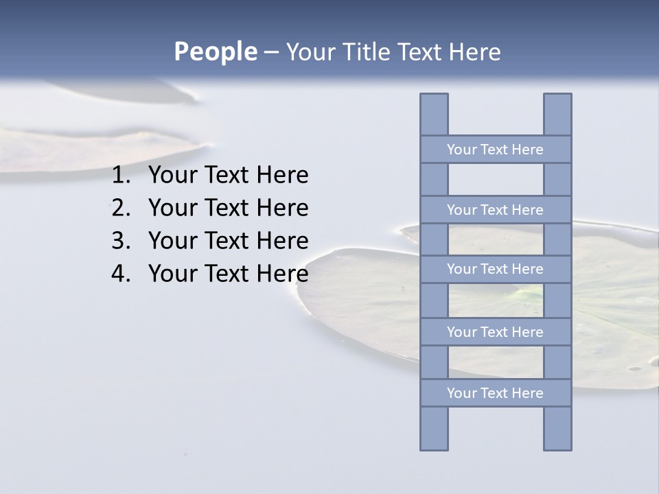 Two Water Lilies Floating On Top Of A Lake PowerPoint Template