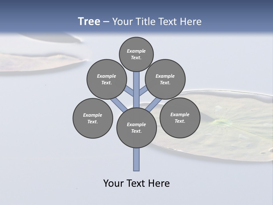 Two Water Lilies Floating On Top Of A Lake PowerPoint Template