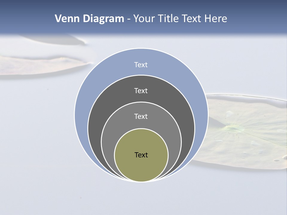 Two Water Lilies Floating On Top Of A Lake PowerPoint Template