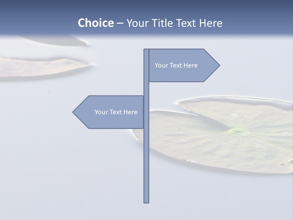 Two Water Lilies Floating On Top Of A Lake PowerPoint Template