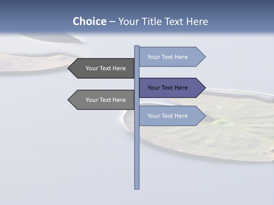 Two Water Lilies Floating On Top Of A Lake PowerPoint Template