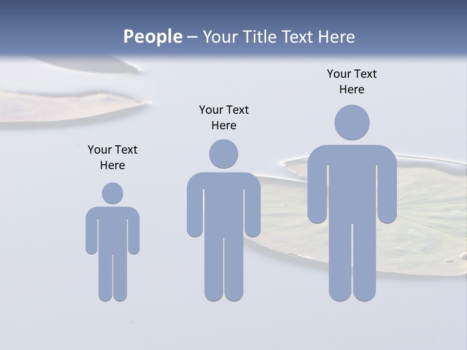 Two Water Lilies Floating On Top Of A Lake PowerPoint Template