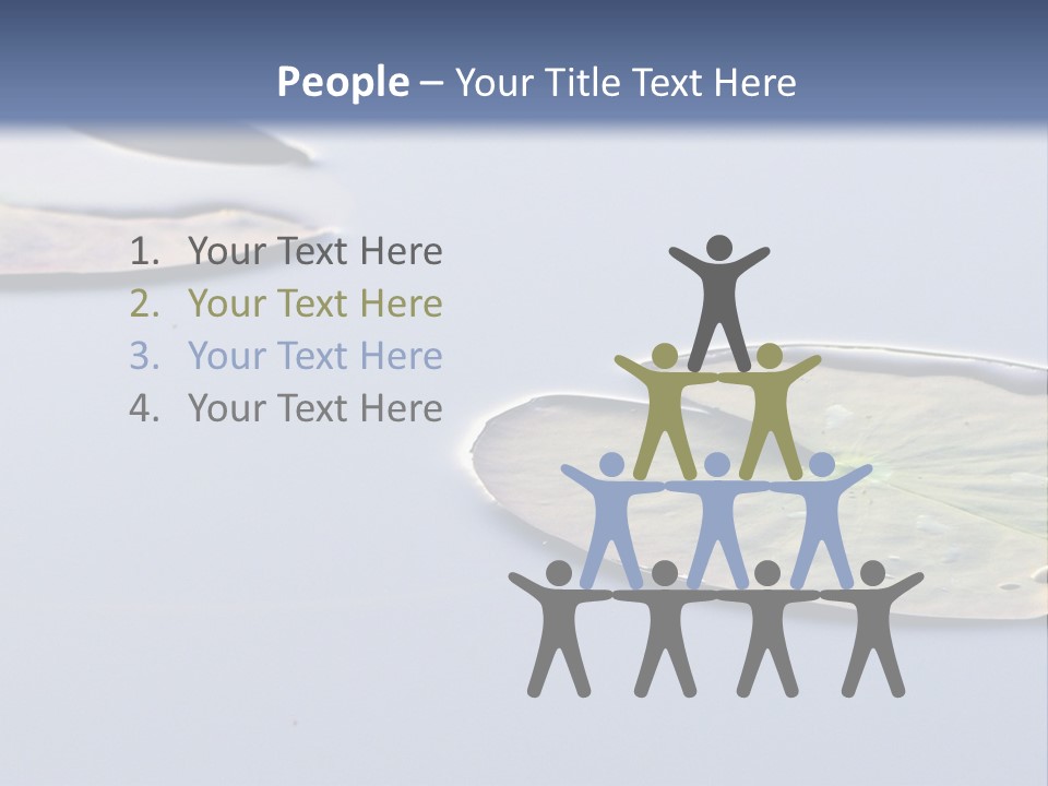 Two Water Lilies Floating On Top Of A Lake PowerPoint Template