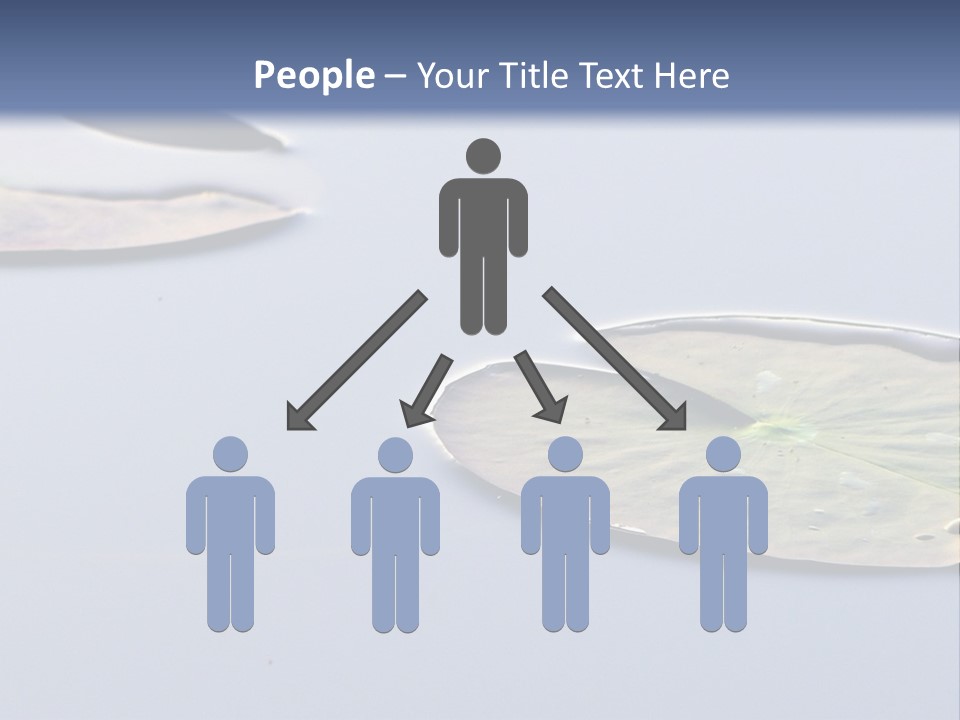 Two Water Lilies Floating On Top Of A Lake PowerPoint Template